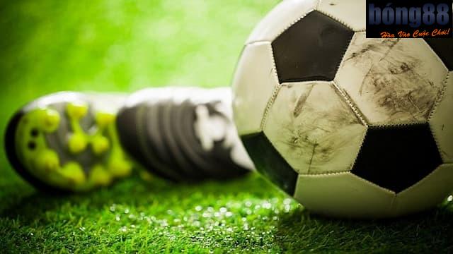 Tác giả Bong88 Bảo Liêm với mối liên hệ nhà cái