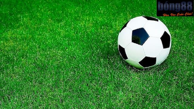 Về chúng tôi Bong88 với cảnh báo giả mạo